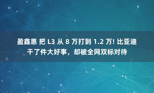 盈鑫惠 把 L3 从 8 万打到 1.2 万! 比亚迪干了件大好事,却被全网双标对待