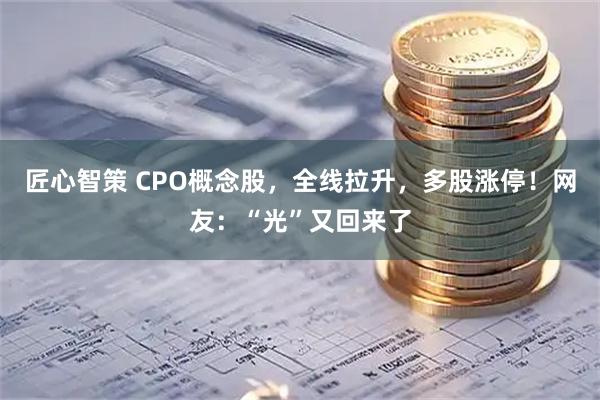 匠心智策 CPO概念股，全线拉升，多股涨停！网友：“光”又回来了