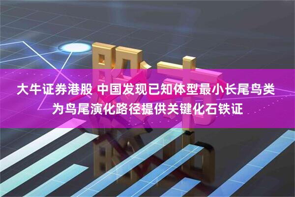 大牛证券港股 中国发现已知体型最小长尾鸟类 为鸟尾演化路径提供关键化石铁证
